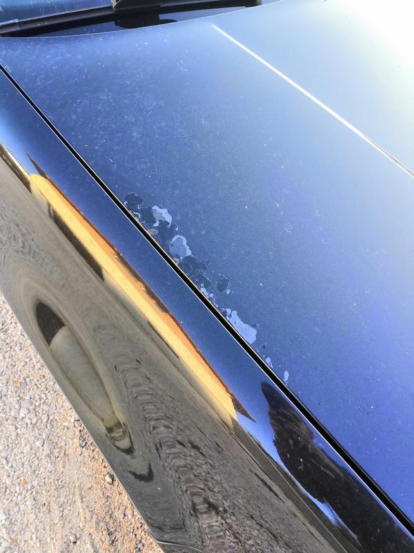 Capot Toit Covering Pour Renovation Esthetique Exterieure Forum Volkswagen Golf Iv