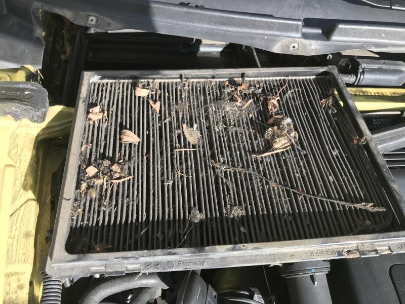 2019_05_12_14_45_17_8AF11CF8-D555-4005-B