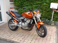 http://www.golfiv.fr/uploads/uploads/th2/2009/11/19/2009_11_19_06_30_31_Honda_600_Hornet__1.JPG
