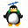 :pingouin2: