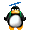 :pingouin2:
